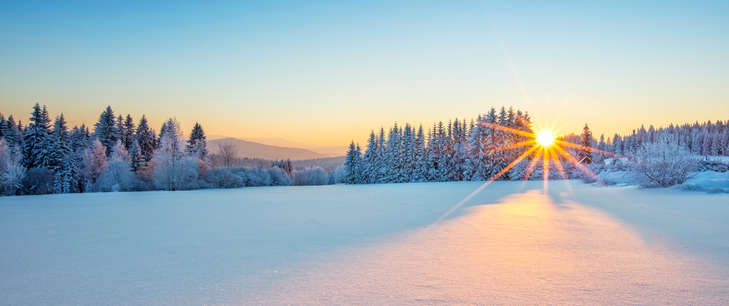 BDO Transfer Pricing News - Issue 41