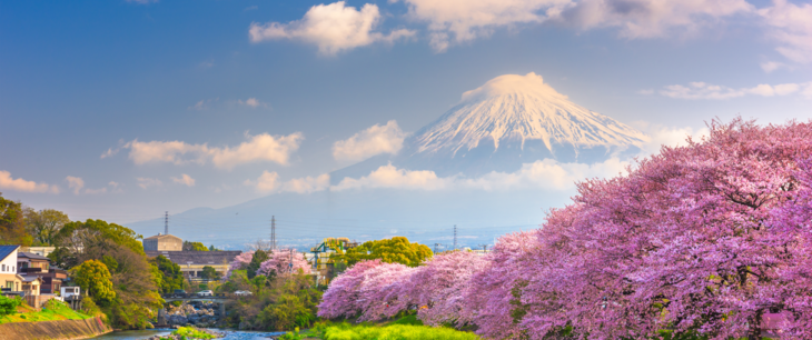 BDO Asia - Japan Desk Newsletter Spring 2022