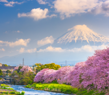 BDO Asia - Japan Desk Newsletter Spring 2022