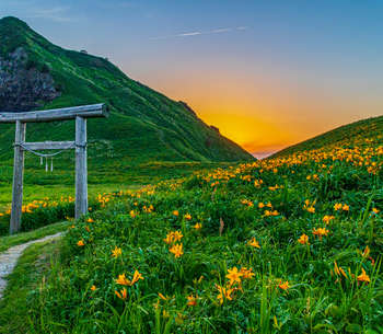 BDO Asia - Japan Desk Newsletter Summer 2022